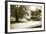 Geese at the Pond II-Alan Hausenflock-Framed Photographic Print