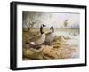 Geese: Canada-Carl Donner-Framed Giclee Print