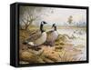 Geese: Canada-Carl Donner-Framed Stretched Canvas