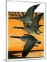 Geese Flying in Formation-R.H. Gamble-Mounted Giclee Print