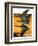 Geese Flying in Formation-R.H. Gamble-Framed Giclee Print