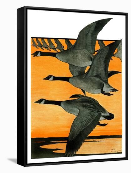 Geese Flying in Formation-R.H. Gamble-Framed Stretched Canvas