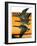 Geese Flying in Formation-R.H. Gamble-Framed Giclee Print