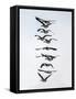 Geese flying in formation-Michael Scheufler-Framed Stretched Canvas