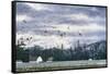 Geese Flying over Farmland-Jeff Tift-Framed Stretched Canvas