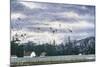 Geese Flying over Farmland-Jeff Tift-Mounted Giclee Print