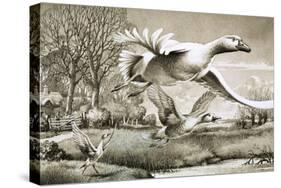 Geese Flying-Ronald Lampitt-Stretched Canvas