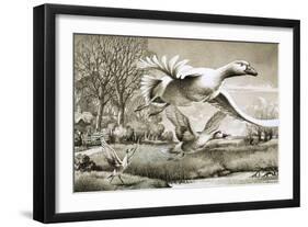 Geese Flying-Ronald Lampitt-Framed Giclee Print