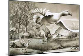 Geese Flying-Ronald Lampitt-Mounted Giclee Print