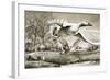 Geese Flying-Ronald Lampitt-Framed Giclee Print