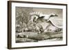 Geese Flying-Ronald Lampitt-Framed Giclee Print