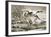 Geese Flying-Ronald Lampitt-Framed Giclee Print