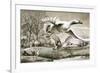 Geese Flying-Ronald Lampitt-Framed Giclee Print