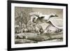 Geese Flying-Ronald Lampitt-Framed Giclee Print