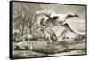 Geese Flying-Ronald Lampitt-Framed Stretched Canvas