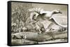Geese Flying-Ronald Lampitt-Framed Stretched Canvas