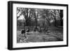 Geese in a Row-null-Framed Photo