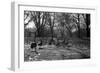 Geese in a Row-null-Framed Photo