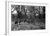 Geese in a Row-null-Framed Photo