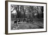 Geese in a Row-null-Framed Photo