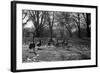 Geese in a Row-null-Framed Photo