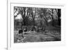 Geese in a Row-null-Framed Photo