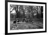 Geese in a Row-null-Framed Photo