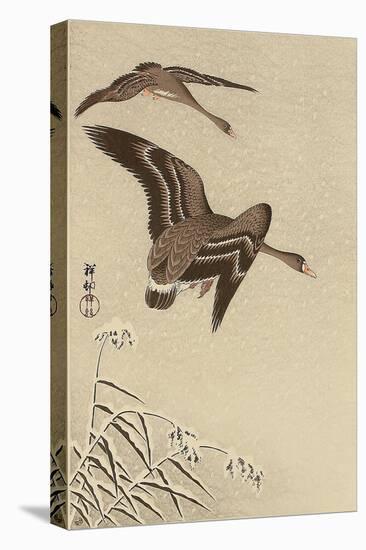 Geese in Snow Falling Sky-Koson Ohara-Stretched Canvas