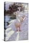 Geese in Snow-Paul Gribble-Stretched Canvas