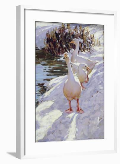 Geese in Snow-Paul Gribble-Framed Giclee Print