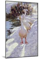 Geese in Snow-Paul Gribble-Mounted Giclee Print