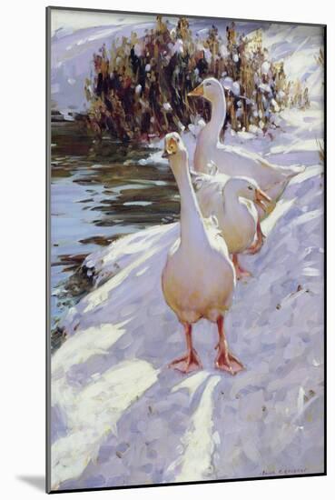 Geese in Snow-Paul Gribble-Mounted Giclee Print