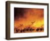 Geese in Sunrise Mist-Arthur Morris-Framed Photographic Print