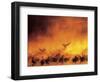 Geese in Sunrise Mist-Arthur Morris-Framed Photographic Print