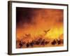 Geese in Sunrise Mist-Arthur Morris-Framed Photographic Print