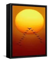 Geese Migrating-Chase Swift-Framed Stretched Canvas