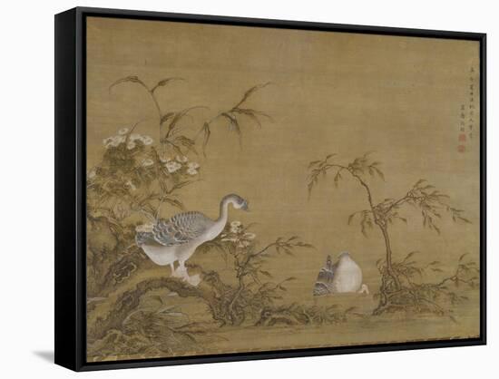 Geese on a Riverbank, Qing Dynasty (1644-1911), 1750-Shen Kai-Framed Stretched Canvas