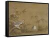 Geese on a Riverbank, Qing Dynasty (1644-1911), 1750-Shen Kai-Framed Stretched Canvas