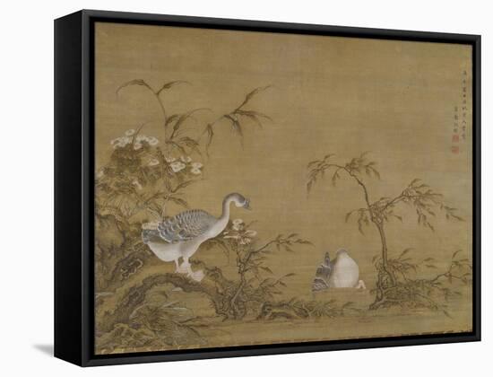 Geese on a Riverbank, Qing Dynasty (1644-1911), 1750-Shen Kai-Framed Stretched Canvas