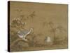 Geese on a Riverbank, Qing Dynasty (1644-1911), 1750-Shen Kai-Stretched Canvas