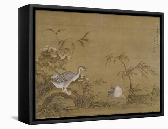 Geese on a Riverbank, Qing Dynasty (1644-1911), 1750-Shen Kai-Framed Stretched Canvas