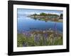 Geese on Lake-Don Paulson-Framed Giclee Print