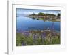 Geese on Lake-Don Paulson-Framed Giclee Print