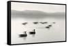 Geese on Melton Lake-Nicholas Bell-Framed Stretched Canvas