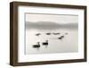 Geese on Melton Lake-Nicholas Bell-Framed Photographic Print