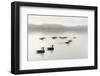 Geese on Melton Lake-Nicholas Bell-Framed Photographic Print