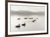 Geese on Melton Lake-Nicholas Bell-Framed Photographic Print