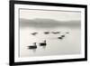 Geese on Melton Lake-Nicholas Bell-Framed Photographic Print