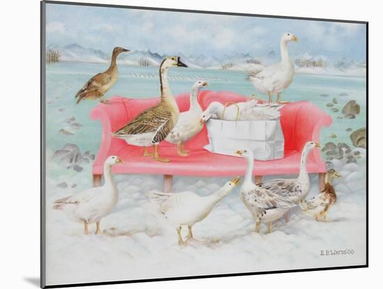 Geese on Pink Sofa, 2000-E.B. Watts-Mounted Giclee Print