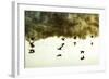 Geese on the Lake I-Alan Hausenflock-Framed Photographic Print